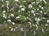 DSC07220.jpg