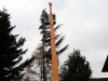 DSC03946.jpg